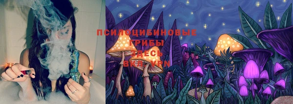 гидра Белоозёрский