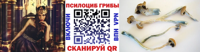 даркнет сайт  Стерлитамак  Галлюциногенные грибы мухоморы 
