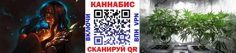 купить закладку  Стерлитамак  Шишки марихуана LSD WEED 